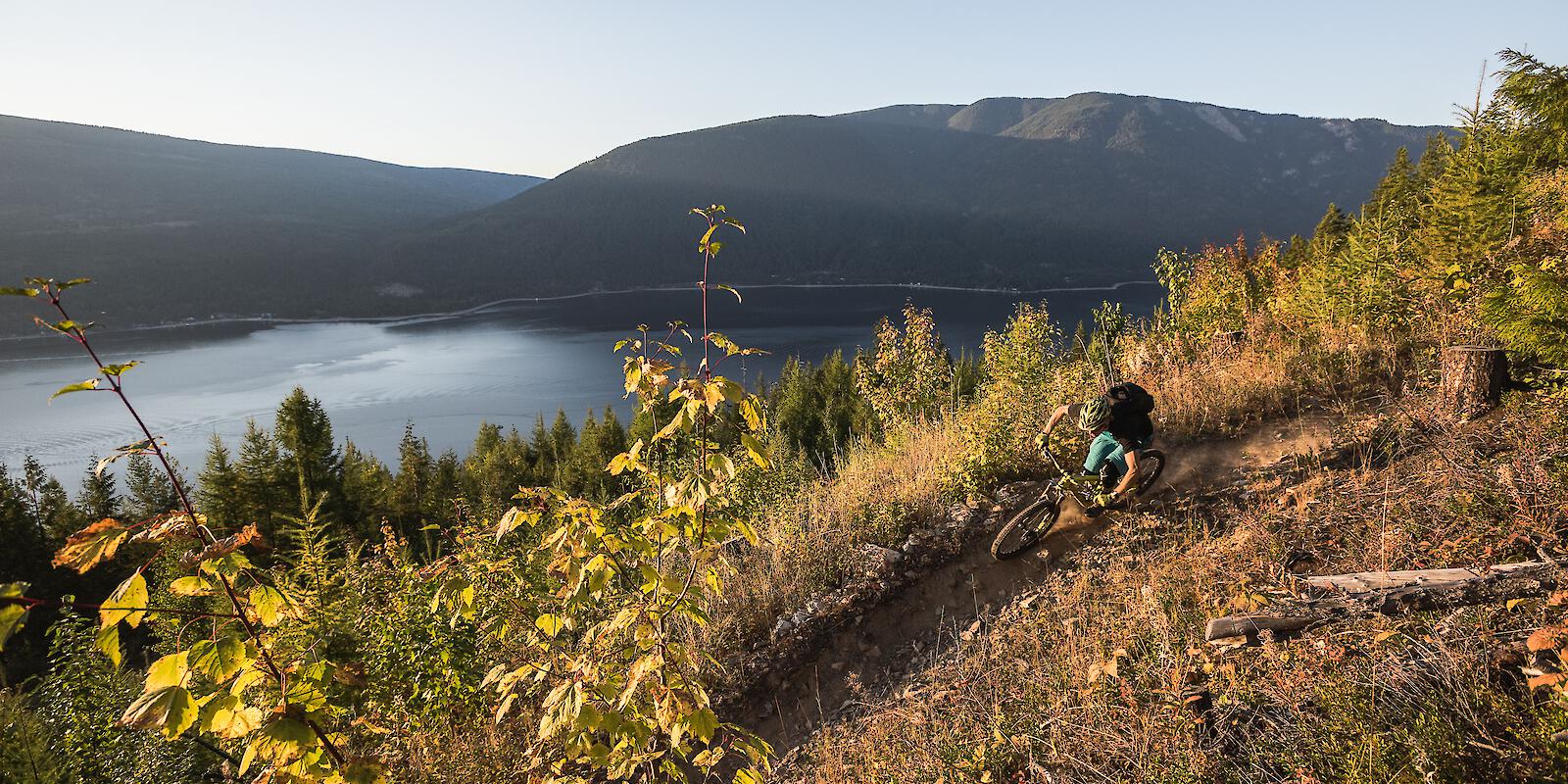 Salmon Arm, Rubberhead, Thompson Okanagan, Mountain Biking BC