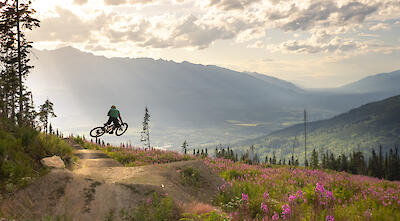 Ride ideas & Road trips