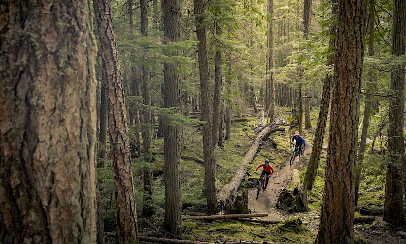 Whistler