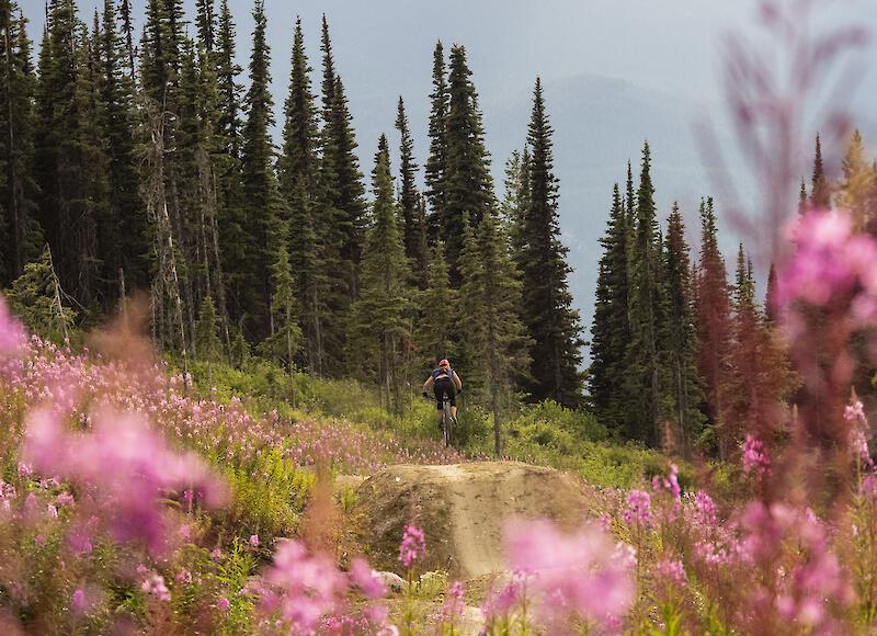 Valemount