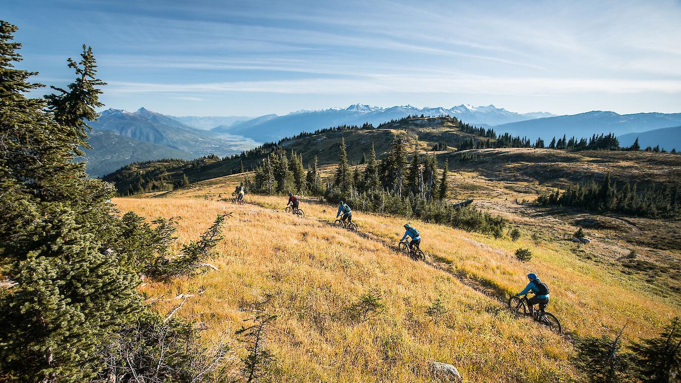 Mountain Biking BC-Revelstoke-British Columbia-Frisby Ridge