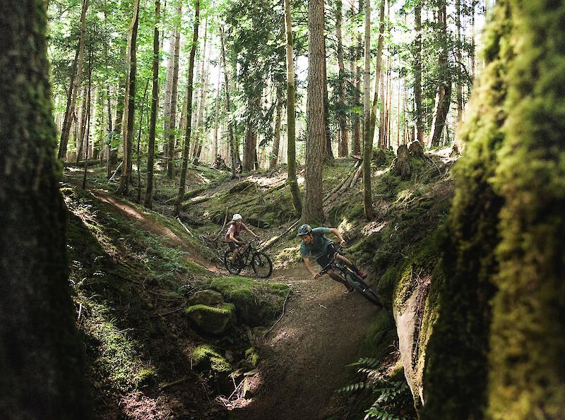 Cumberland Mountain Biking BC
