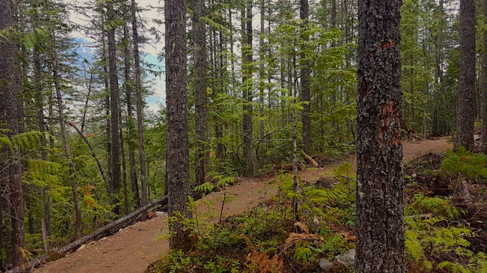 Adaptive trails. Photo: Mike Riediger