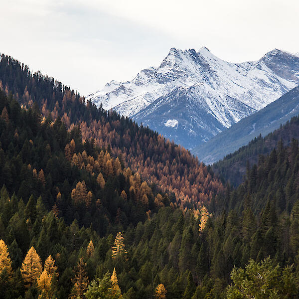 Beyond the Bike Park in Invermere, British Columbia