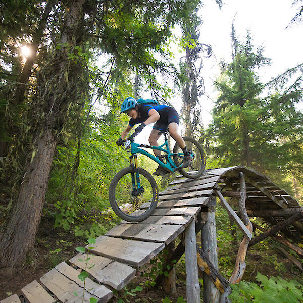 Nelson bike park new arrivals
