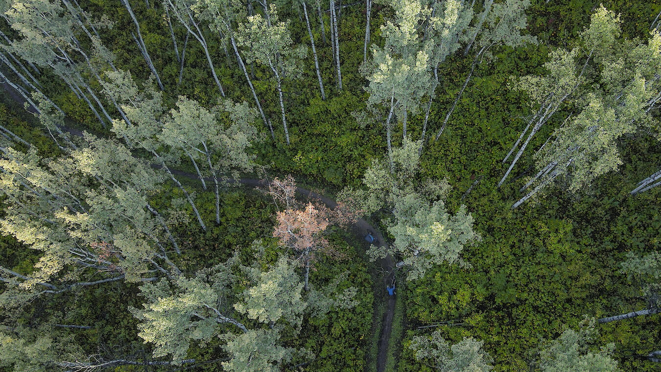 arial view of mountain bikers on a trail