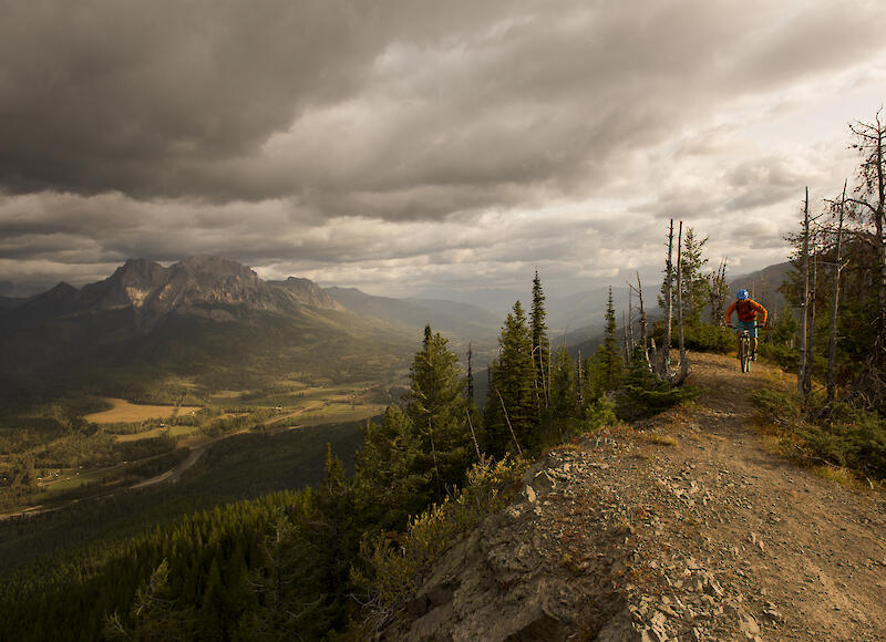 Fernie