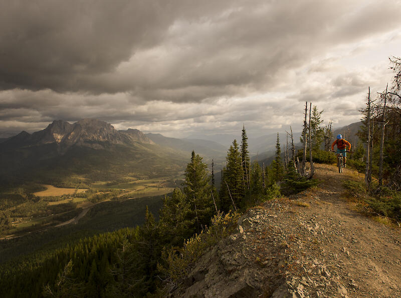 Fernie