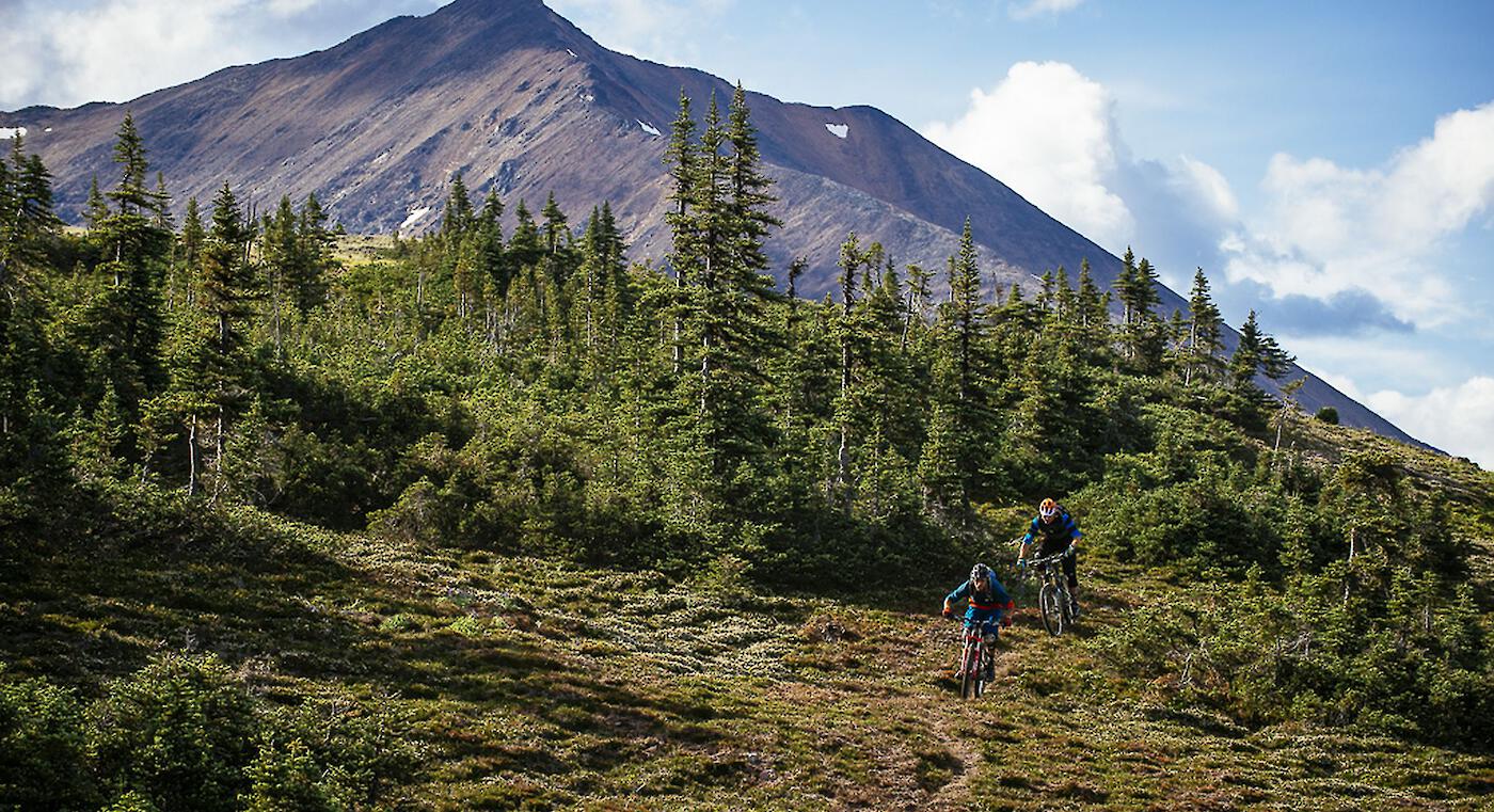 two mountain bikers descend hudsons bay mountain near smithers bc