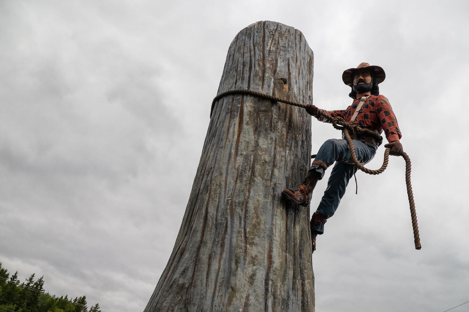 Logging is the reason that most of the towns in the north exist and sustain the vast majority to this day.