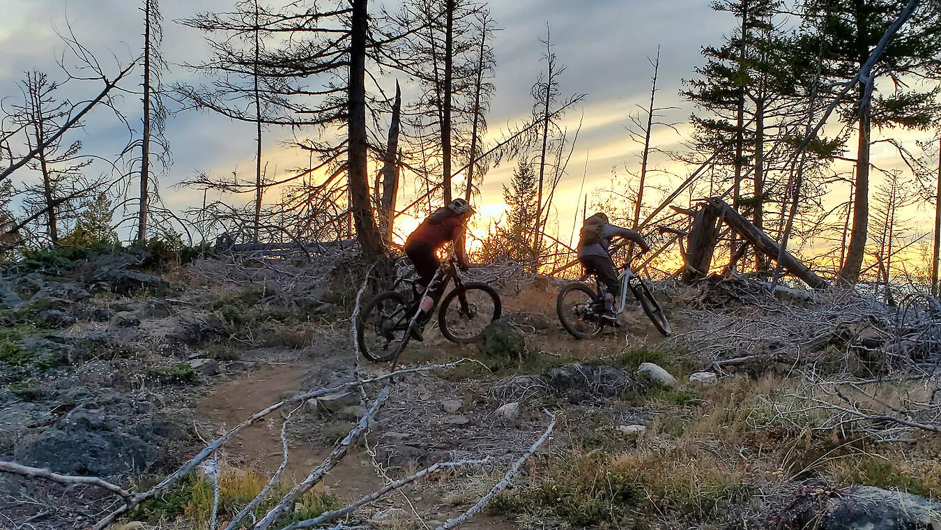 Mountain bikers on a trail at sunset