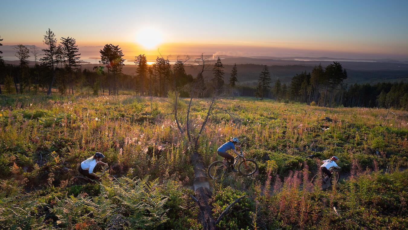 3 mountain bikers with a sunset on Vancouver Island