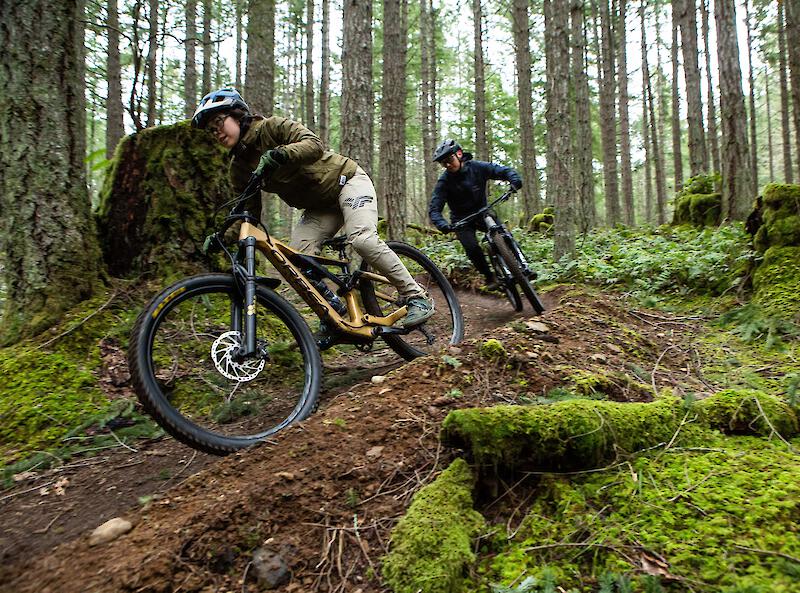 Cowichan Valley