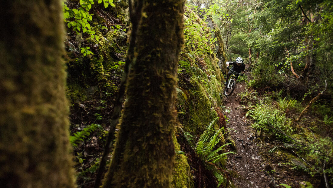 Riding in Sooke