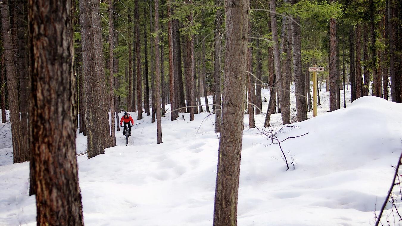 Fat biking in the snow