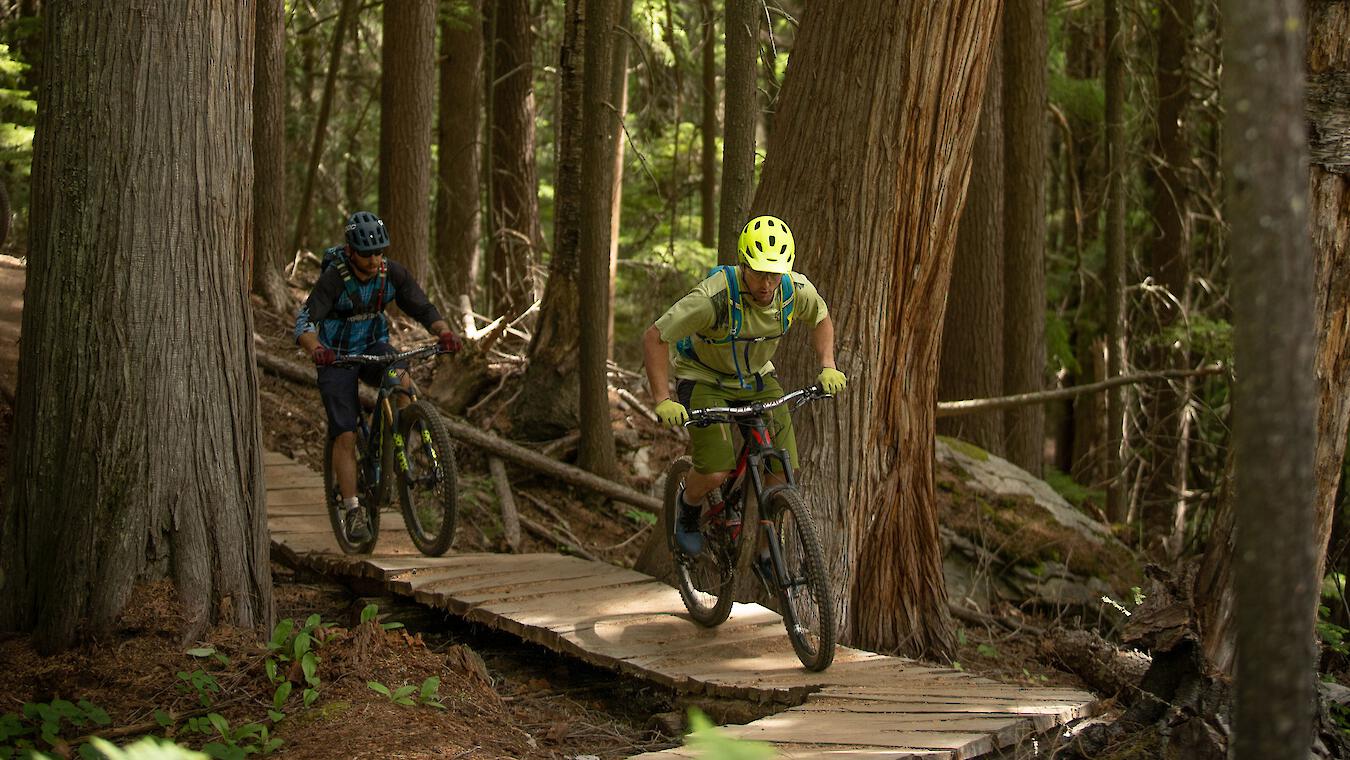 mountain bikes riding in the forest