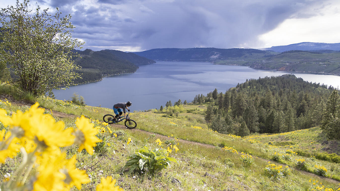 mountain bike rider with lake view