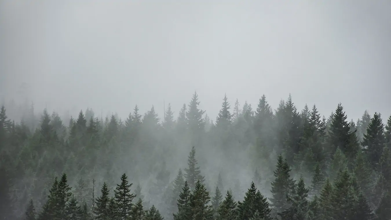 Mount Mahoney Trails Located in Powell River, a short ferry ride from Comox. Registration opens June 9th at 8:00am *Please note the date has been bumped up one week from our initial date.
