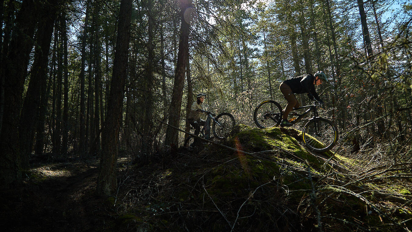 2 riders mountain biking with sun streaming through the trees